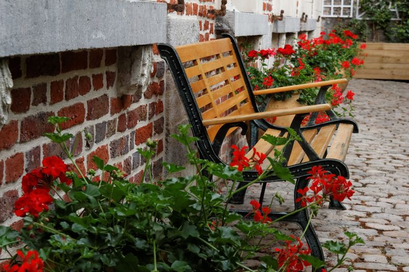 Photo prise depuis la partie ouverte du jardin vers ce coin plus intime, pavé, bordant la façade ravalée de la maison d'hôtes du Théâtre. Banc entouré de pots de géraniums.