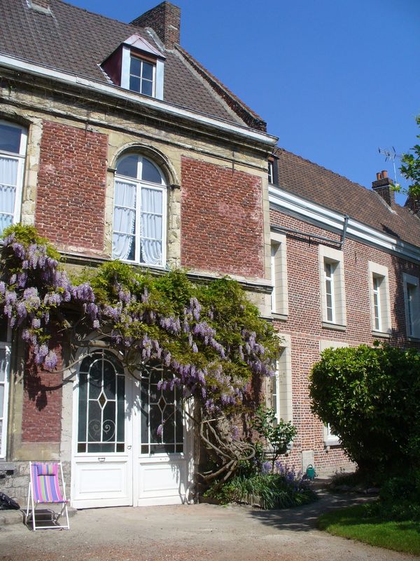 Glycine plus que centenaire sur la façade de notre maison, et façade de la maison d'hôtes du Théâtre, à droite, ravalée en 2011.